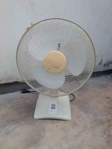 A picture of Feni