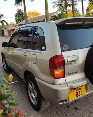 A picture of Rav4