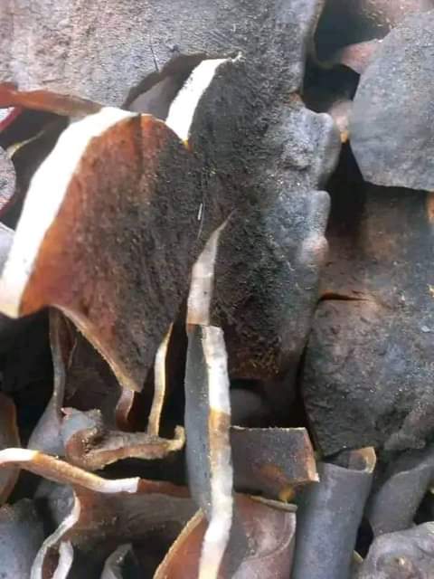 A picture of Ponmo