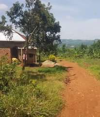 A picture of CHEAP AND GUNUINE 