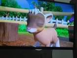 A picture of Hisense 40inch with small line in the screen