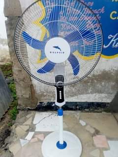 fans