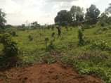 A picture of BOOK YOUR OWN PLOT TODAY 800K 256752981600 NEW SIT IS