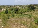 A picture of KIWANJA KINAUZWA