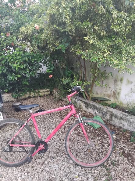 A picture of Bike