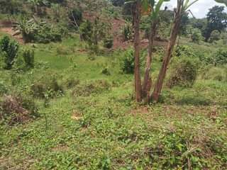 A picture of Commercial properties school hospital rental houses