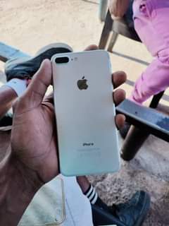 Thabang M.