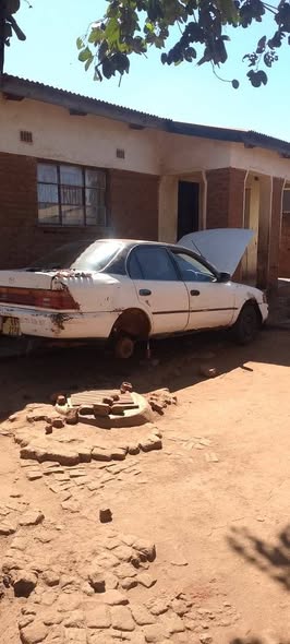 used toyota corolla