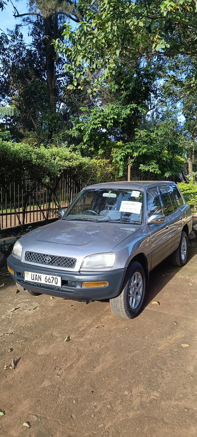 A picture of Rav4