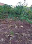 A picture of Magigye beautiful plot on quick sale Accommodation to Rent