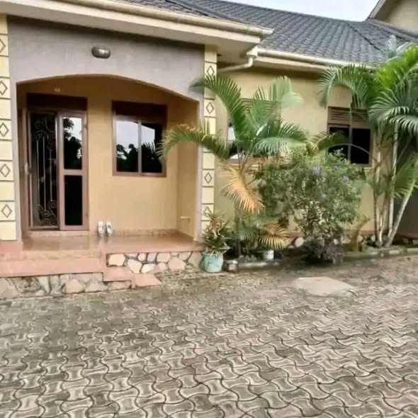 houses for rent