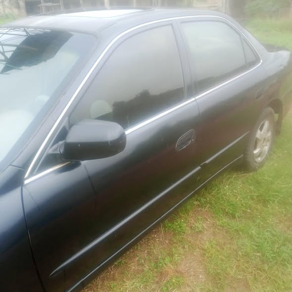 A picture of 1999 Honda baby boy