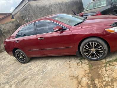 A picture of Damn see this Sweet Muscle Year 08 Neatly painted Price