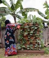 A picture of vertical farms