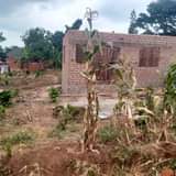 Lugomoka K.