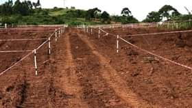 A picture of Plots