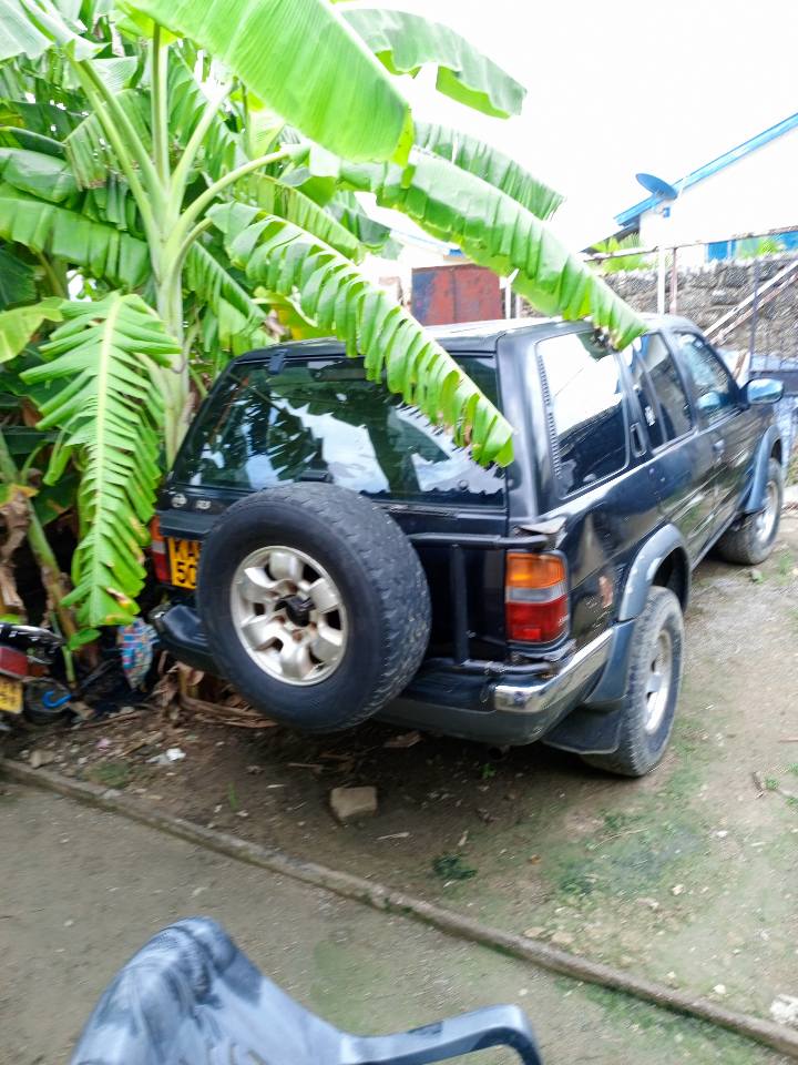 A picture of Nissan terrano