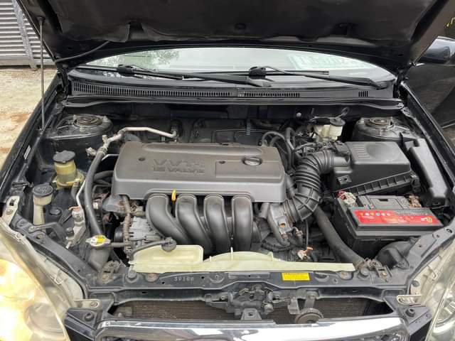 A picture of 2007 Toyota Corolla