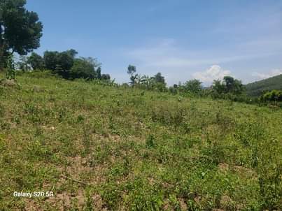 A picture of 50 100FT TITLED PLOTS STILL AVAILABLE AT OUR GOBERO WAKISO