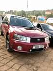 A picture of Subaru Forester