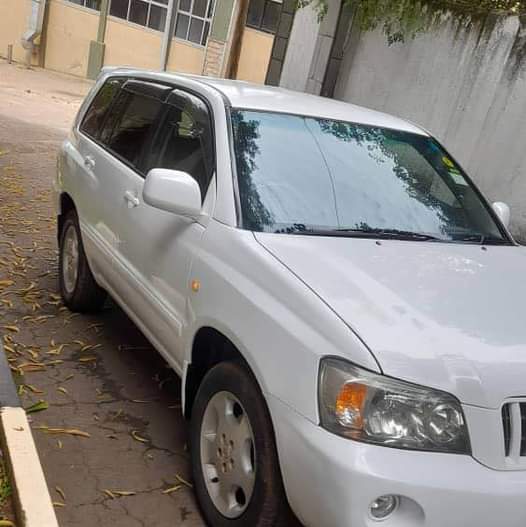 A picture of Kluger at 23m call 0703457898