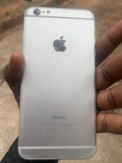 A picture of iPhone 6plus