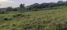 A picture of 40 DECIMALS OF LAND ON SALE SSISA 7KMS FROM MAIN