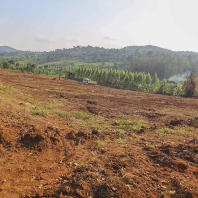 A picture of New plots in Kakiri Town.