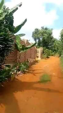 A picture of Affordable Plots available on Sale 80 Metres from tarmac at