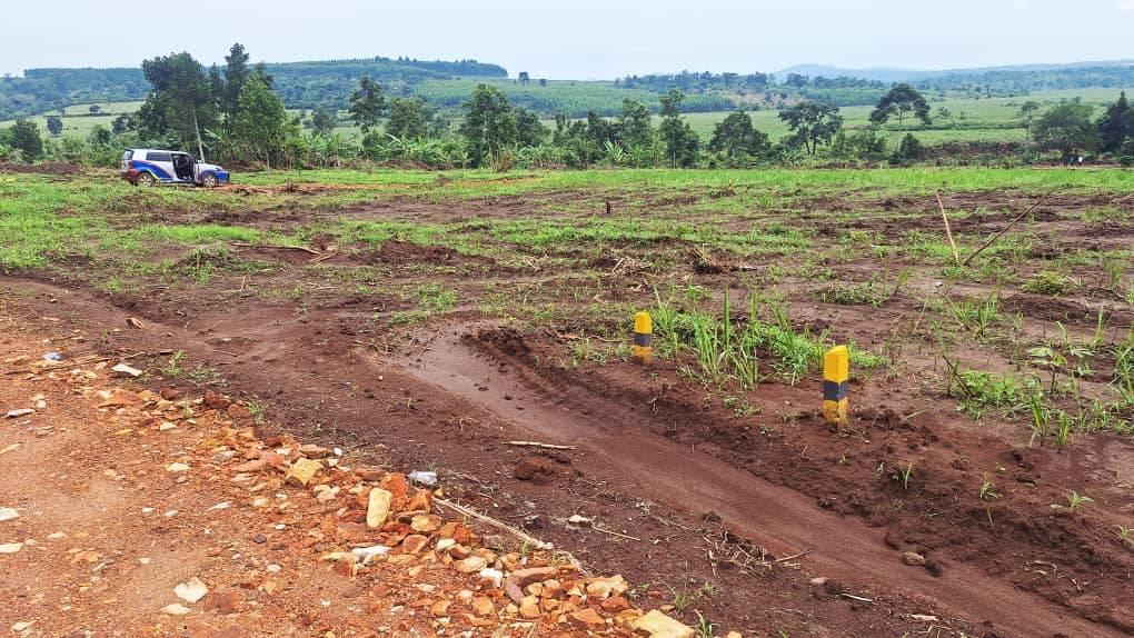 A picture of HOT DEAL TITLED PLOTS ON QUICK SALE AT 4 5