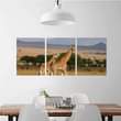 A picture of Wall Deci