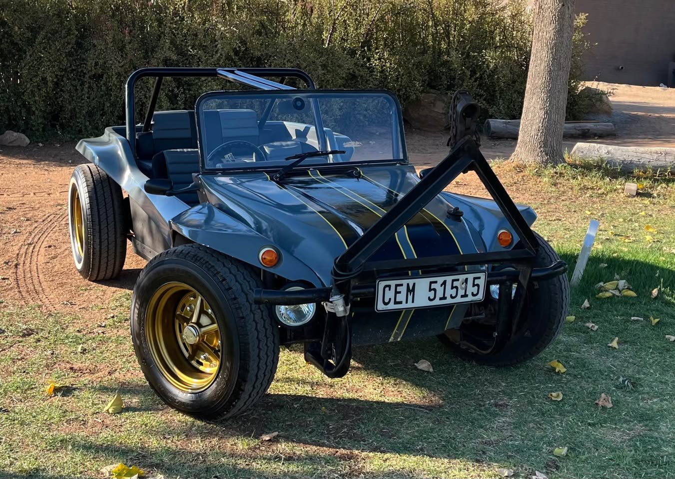 beach buggy