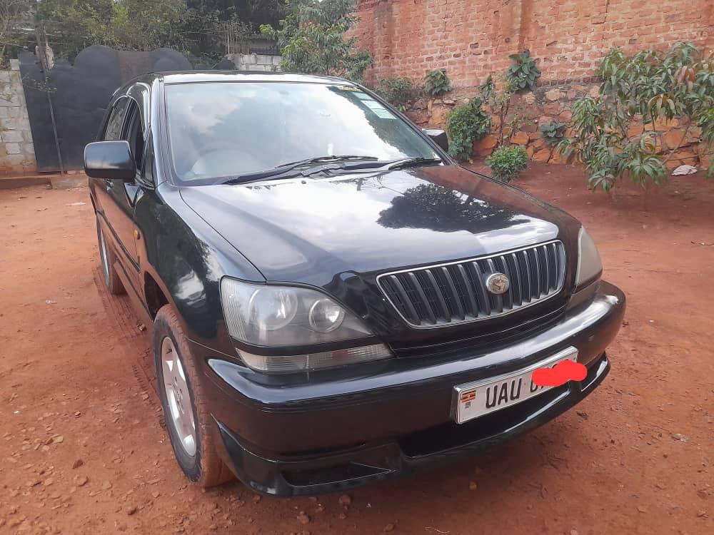 A picture of Car Harrier
