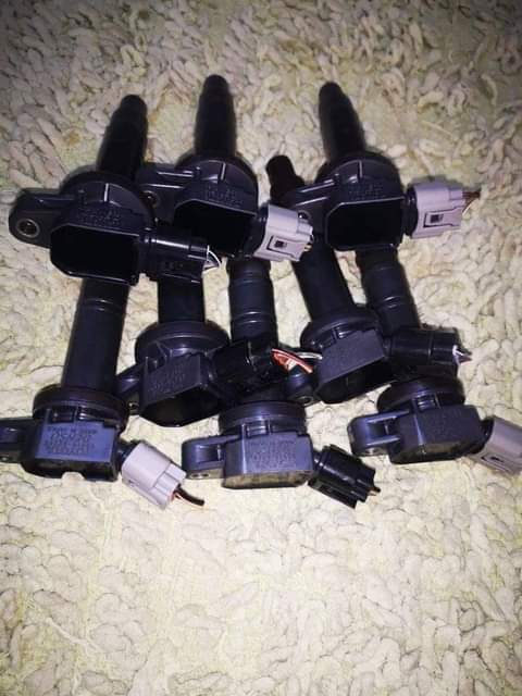 coils