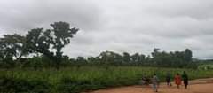 A picture of land for sell at Apo dictress 3thousnd meter