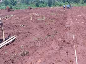 A picture of New site katende town