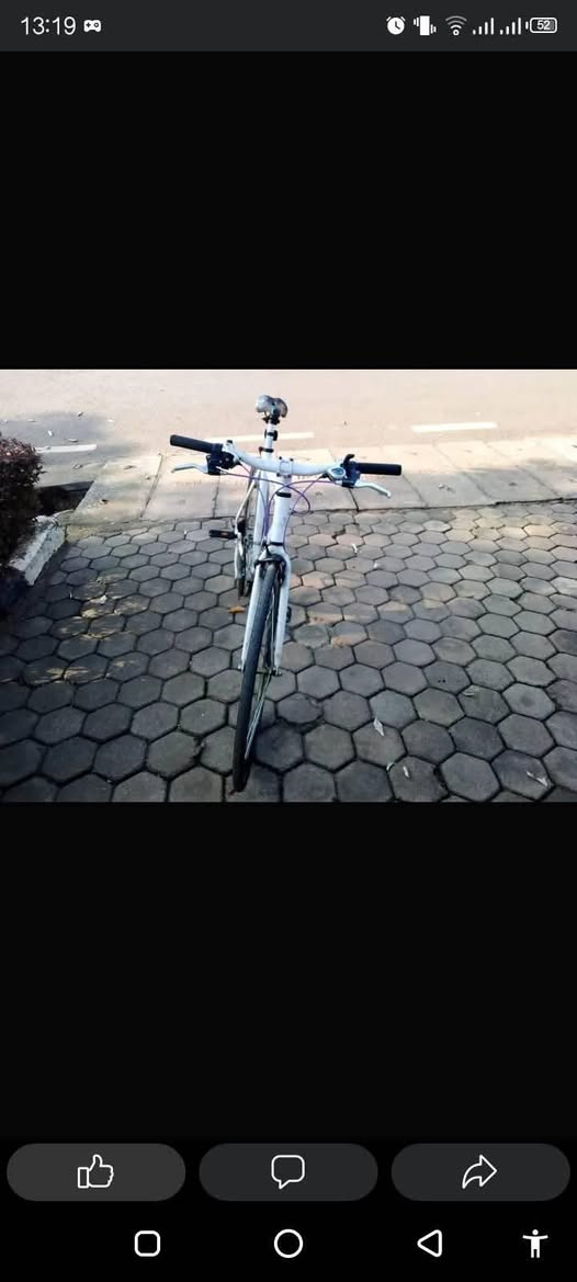 bikes