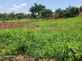 A picture of PLOTS OF LAND AT AFFORDABLE PRICES