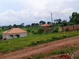 A picture of Deal yakisubuzi Plot 50x100ft With REDYTITLE Price 9MILLION Located matugga