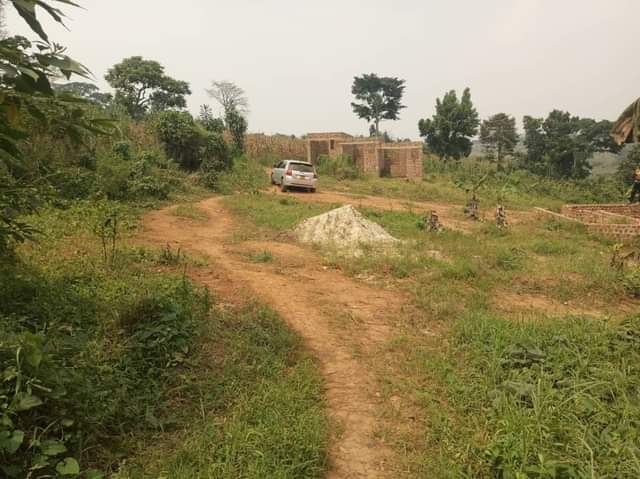 houses matugga