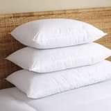 A picture of Air bed pillows 0781943565