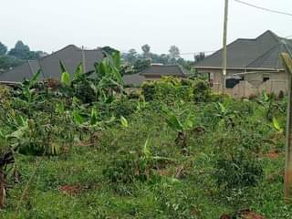A picture of Very good plot for rentals and residential is up for