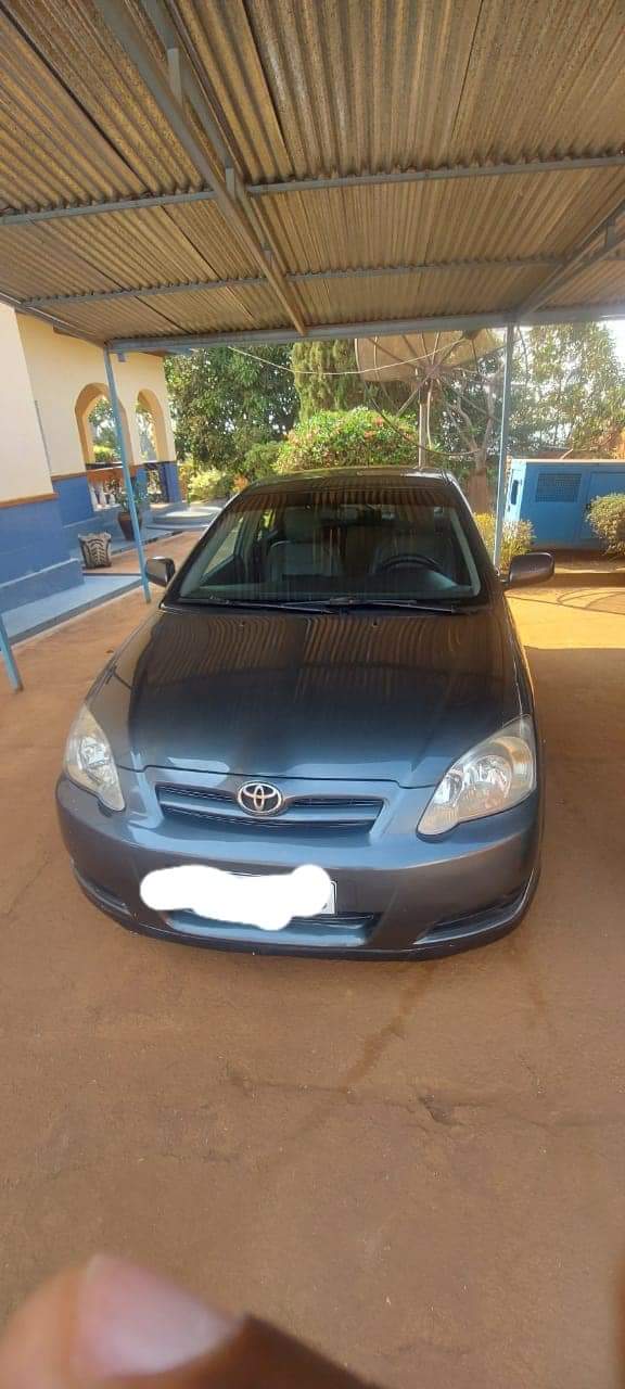 used toyota corolla