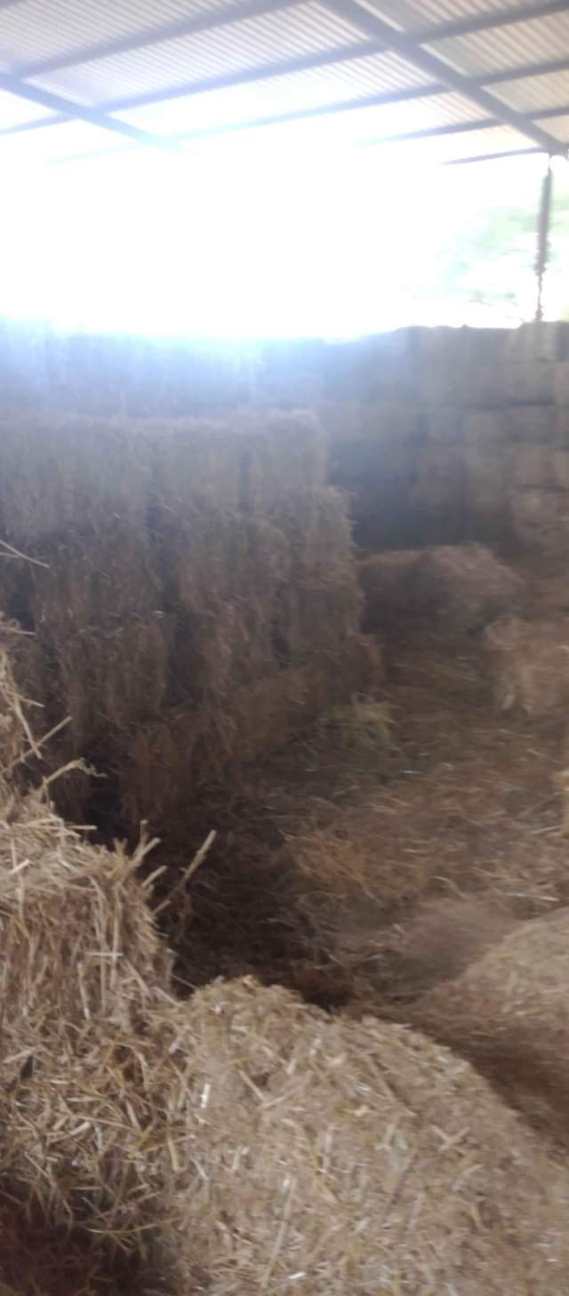 Farmers M.