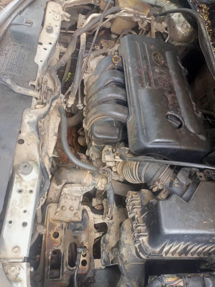 A picture of Toyota Corolla 2010