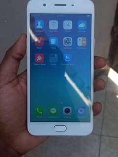 oppo f1