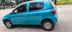 A picture of Vitz