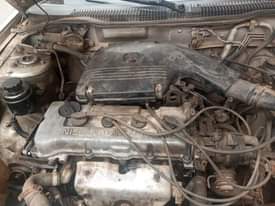 A picture of Nissan sunny