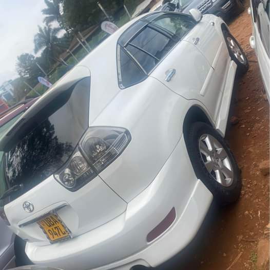 A picture of Harrier kawundo