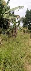A picture of FARMING IS THE BACKBONE OF OUR COUNTRY. AS LONG AS